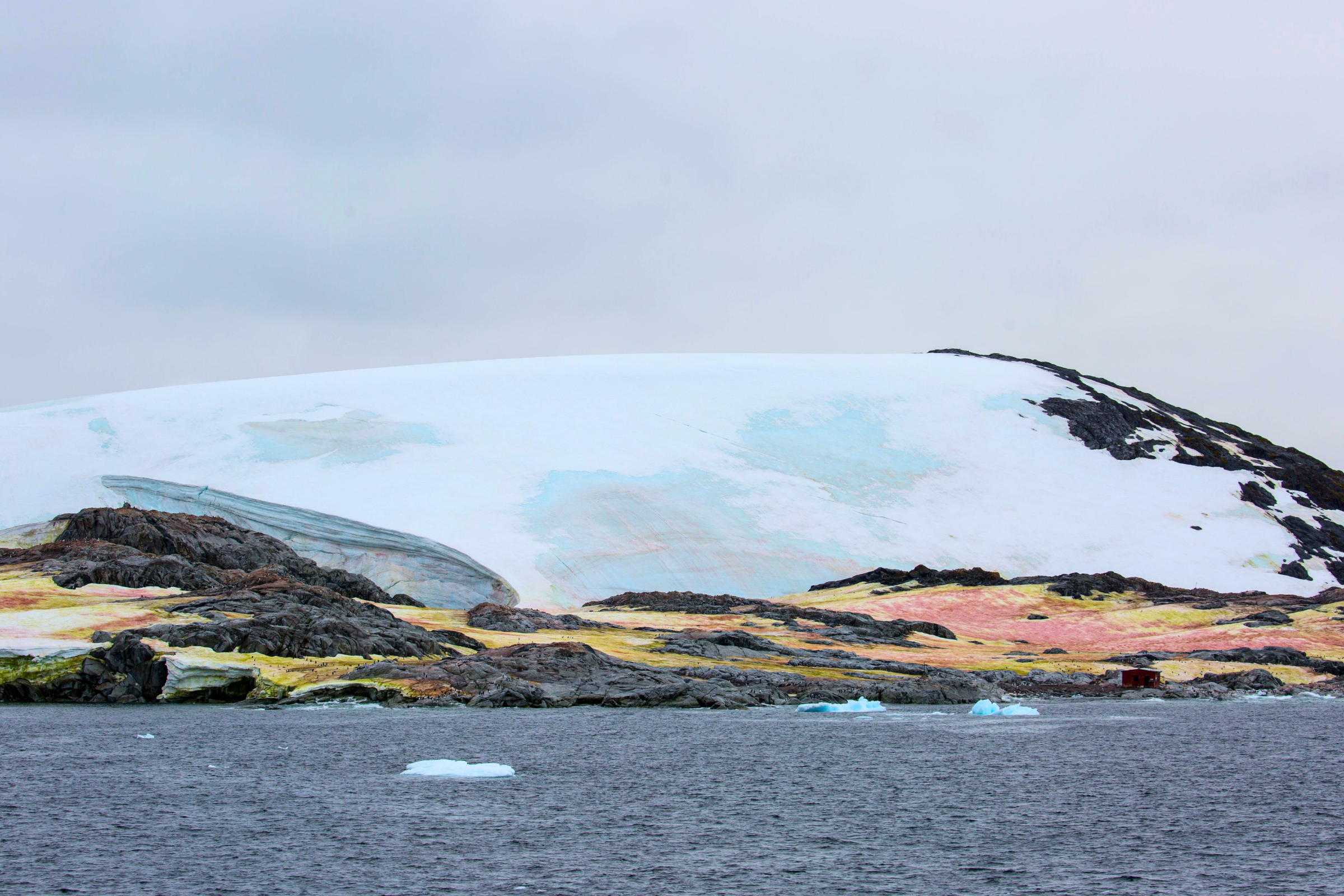 136 petermann island.webp